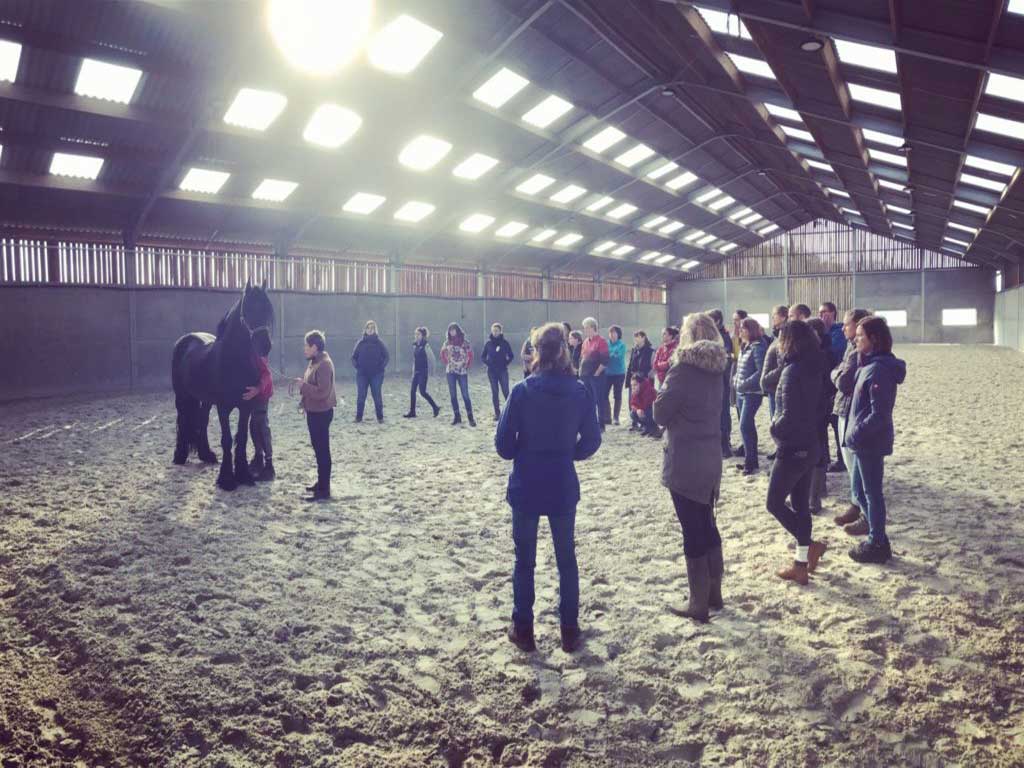 Démonstration dans une écurie 01