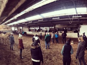 Démonstration dans une écurie 02
