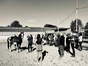 Démonstration dans une écurie 03