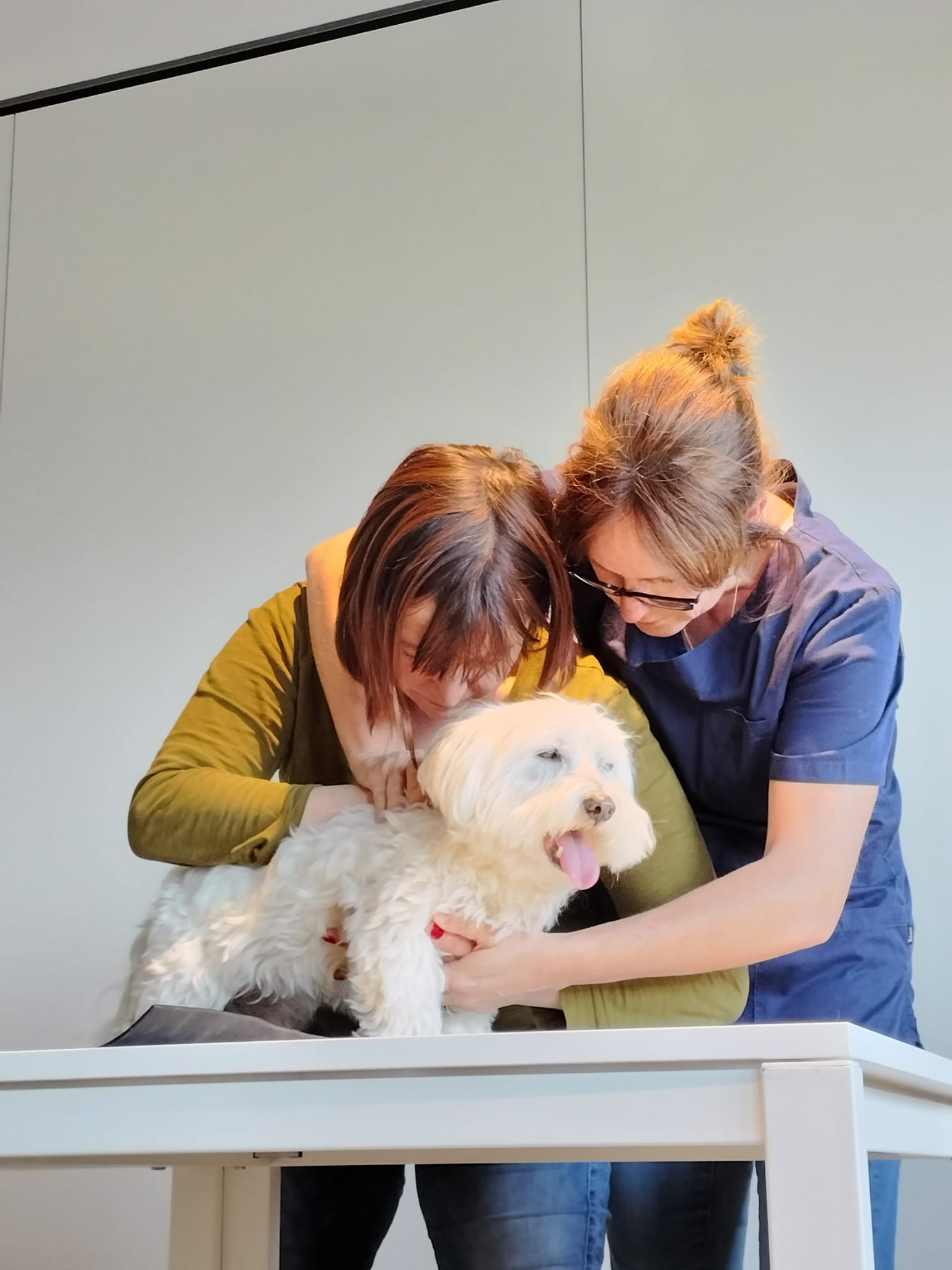 6177633C-9959-4FFC-A3FA-040558CBA61D