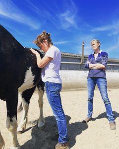 8766EAB5-9301-45C3-97B7-835F7B3AD48C