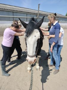 89A47448-BA05-4A62-9A53-3E50DC0EE976