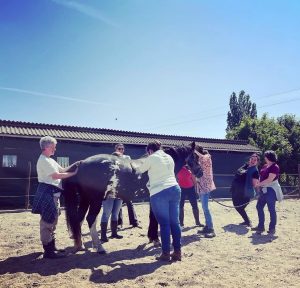 8B014CD7-0245-4F14-8390-6849227FA5D0