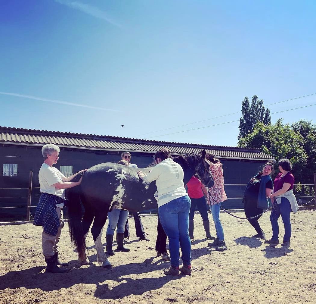 8B014CD7-0245-4F14-8390-6849227FA5D0