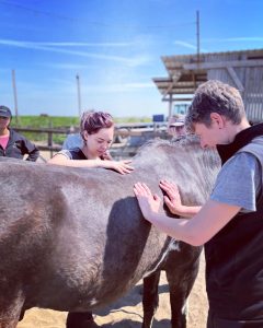 E63A9EF5-B6B9-47F9-8C0D-F768D796226E