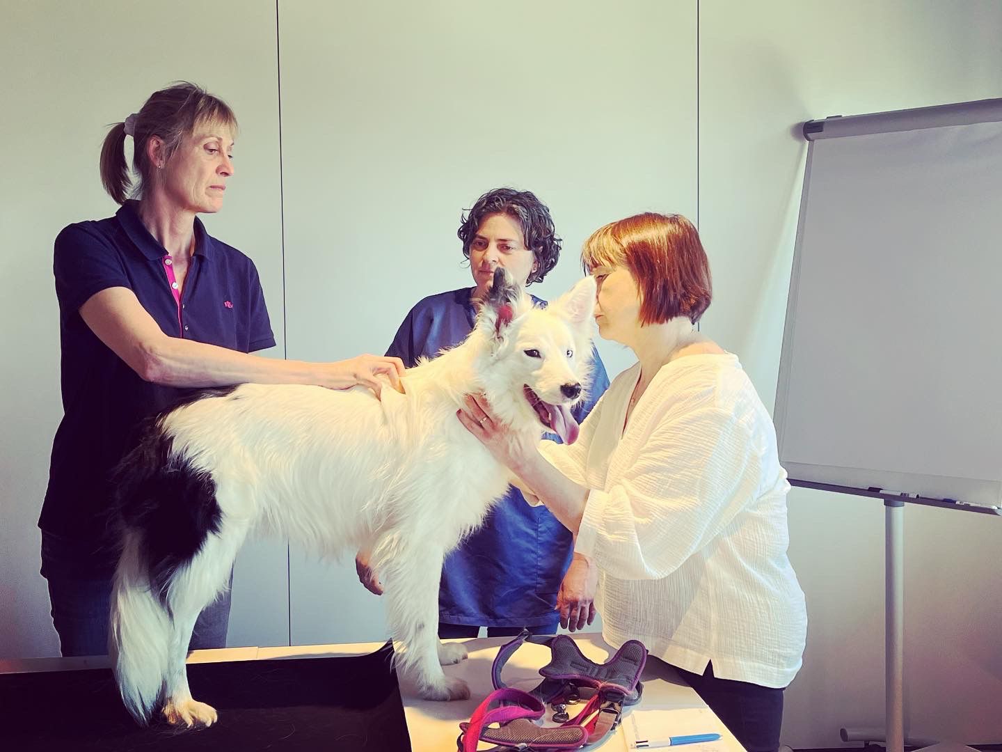 E9154540-59DD-4CAC-ABD1-8724B7440C0E