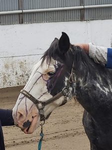 154f7219-59b5-45fb-b4ab-5941152c65cd