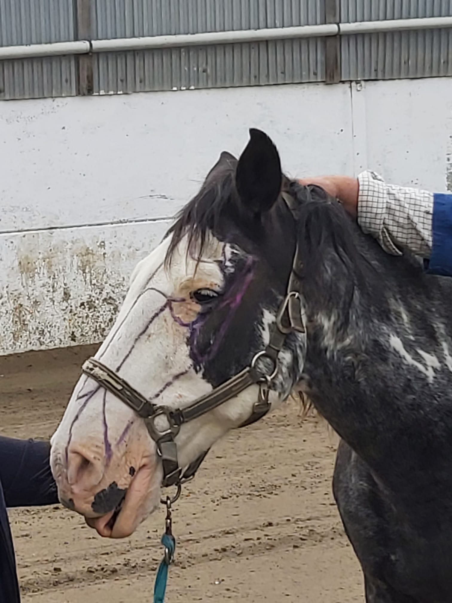 154f7219-59b5-45fb-b4ab-5941152c65cd