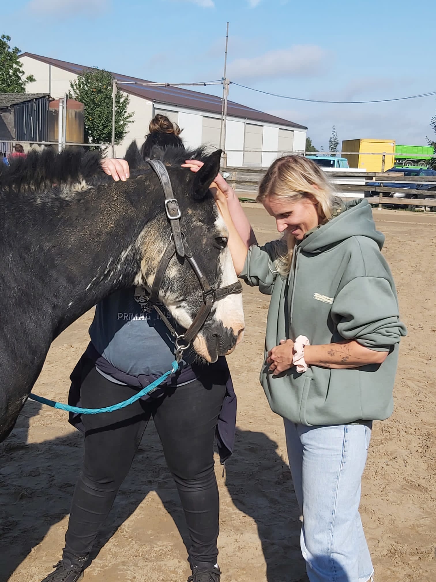 a171d96b-d239-4f47-9218-fe22ccc50904