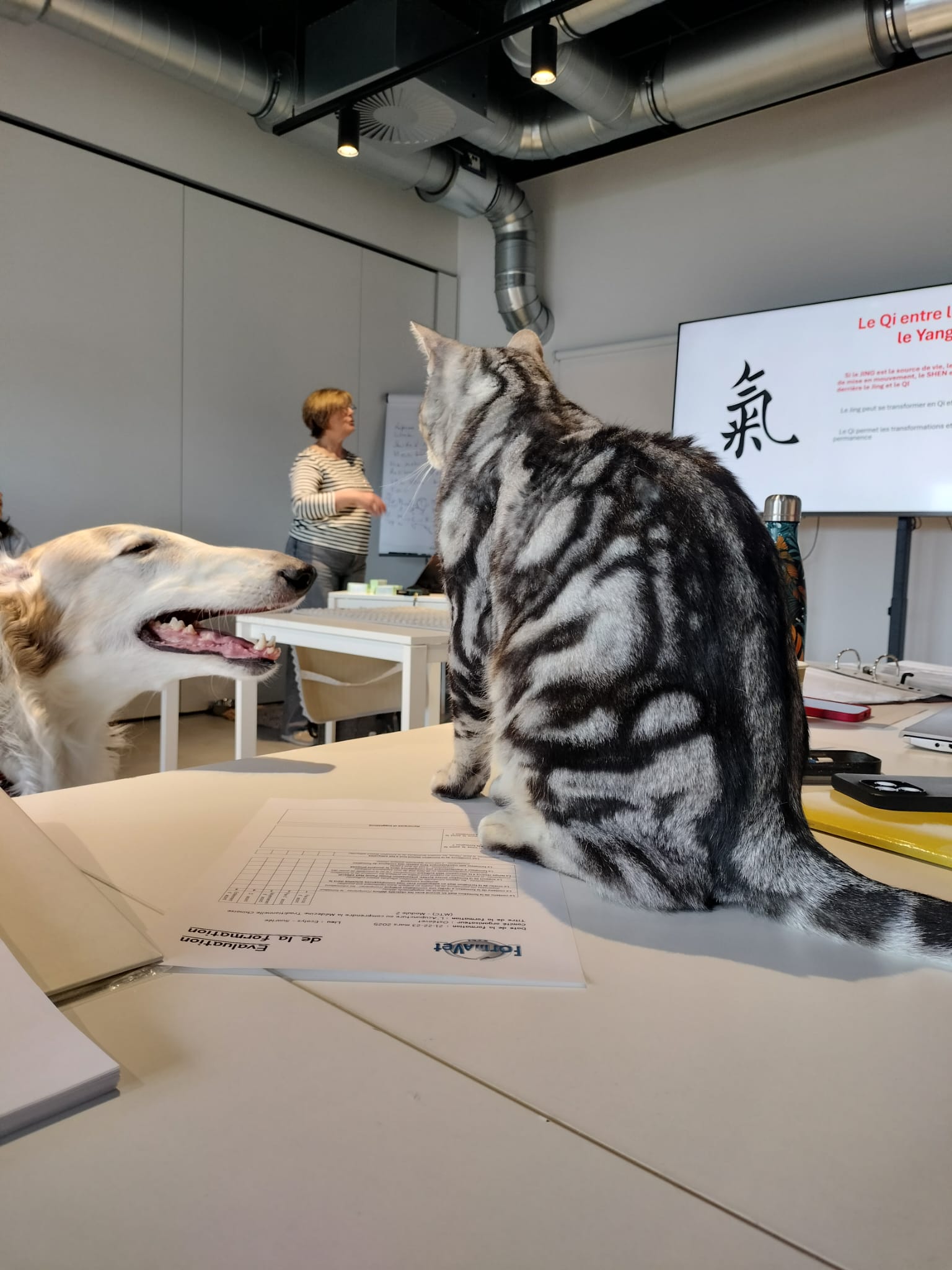 855fc6ef-e41f-467b-ab84-fc509976c1e9